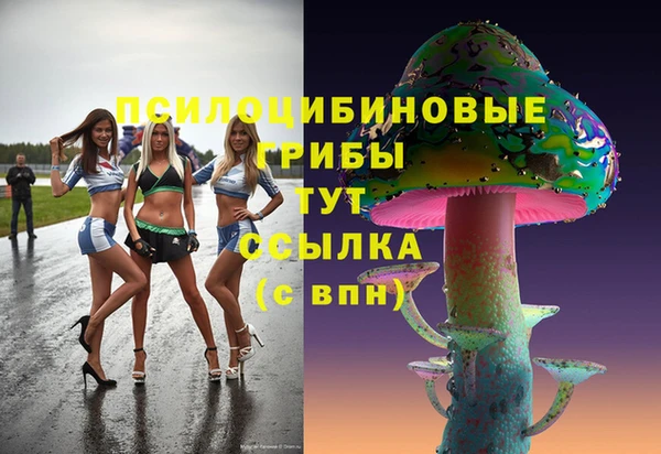 прущие крисы Михайловск