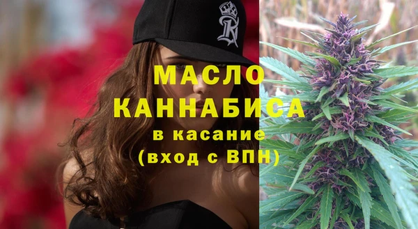 молекула духа Михайлов