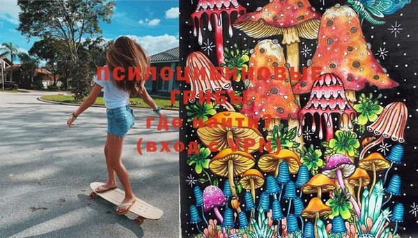 марки lsd Надым