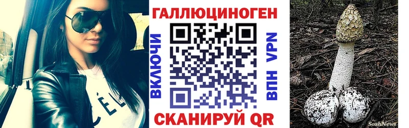 Галлюциногенные грибы GOLDEN TEACHER  закладка  площадка телеграм  Печора 
