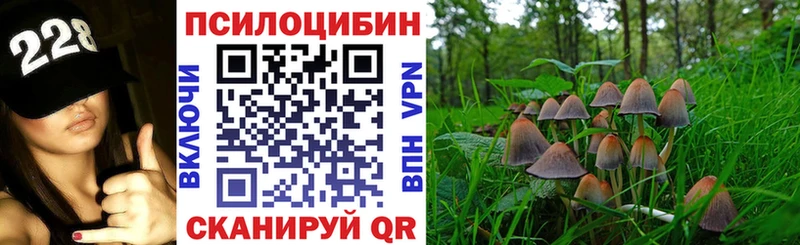 Псилоцибиновые грибы мицелий Печора
