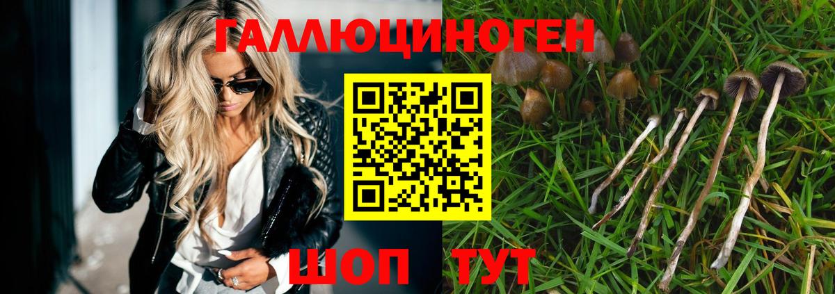 Псилоцибиновые грибы Magic Shrooms Печора